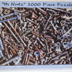 Nutz and Boltz Puzzle